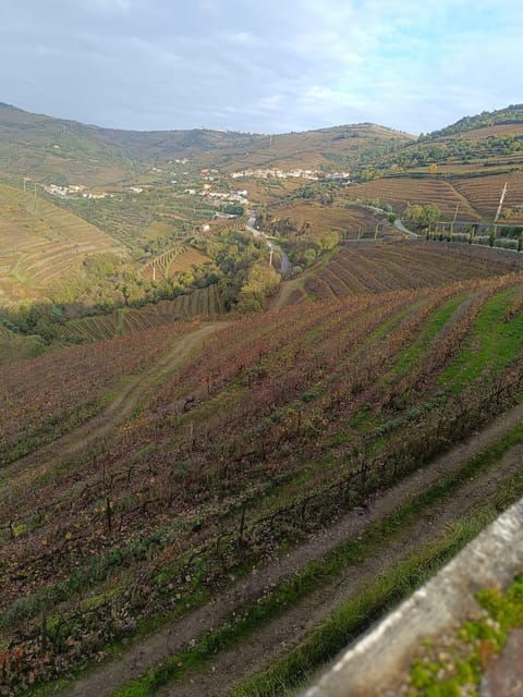 porto-douro-valley-2-farms-with-wine-tasting-and-lunch