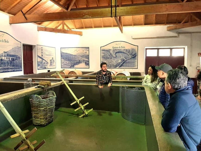 Porto: Douro Valley, 2 Wineries, Lunch & Private Boat Trip - An In-Depth Look at the Douro Valley Tour