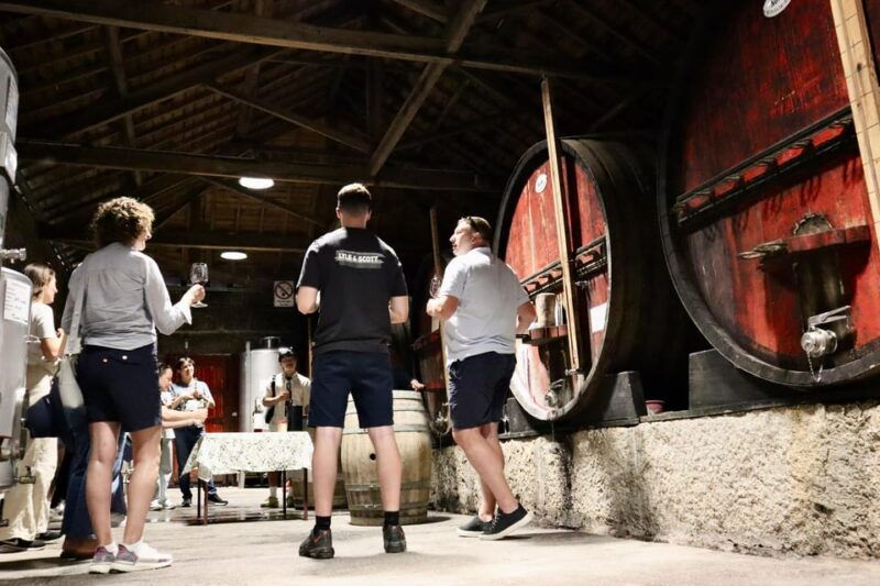 porto-douro-valley-2-wineries-lunch-private-boat-trip