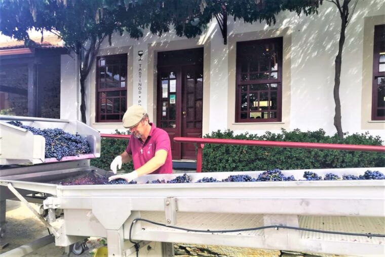 porto-douro-valley-2-wineries-lunch-private-boat-trip