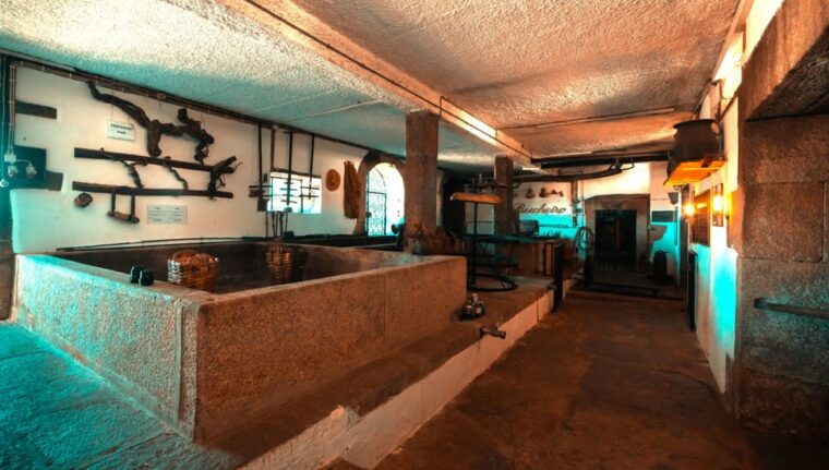 porto-douro-valley-2-wineries-lunch-private-boat-trip