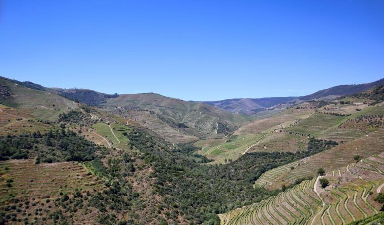 porto-douro-valley-2-wineries-lunch-private-boat-trip