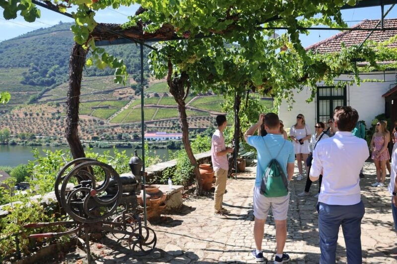 porto-douro-valley-and-amarante-city-half-day-tour
