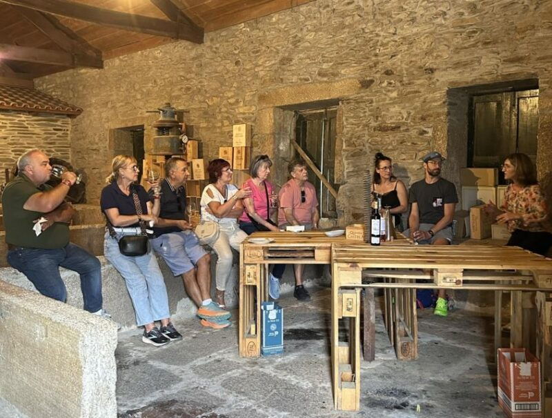 porto-douro-valley-and-amarante-city-half-day-tour