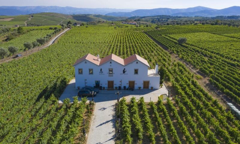 porto-douro-valley-day-trip-with-lunch-and-favaios-village