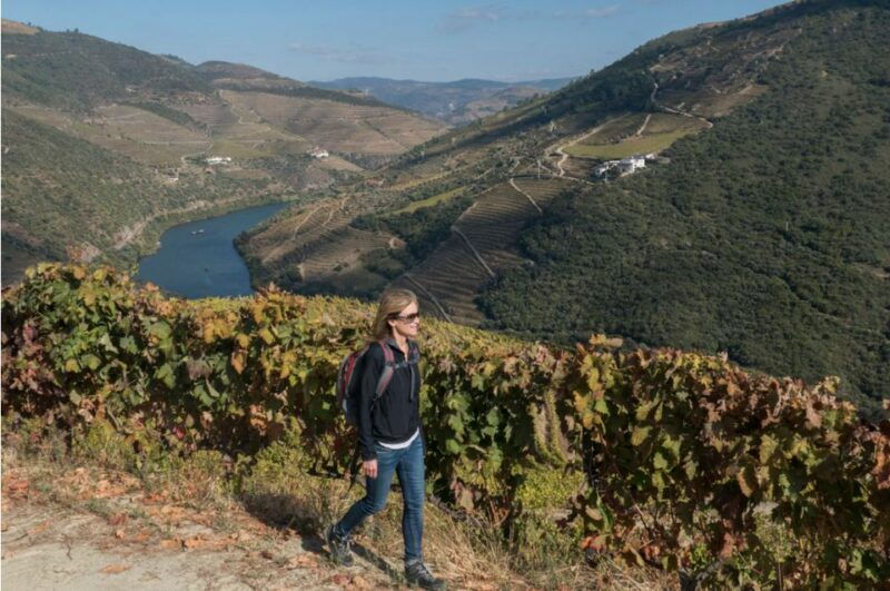 porto-douro-valley-day-trip-with-wine-tasting-and-lunch