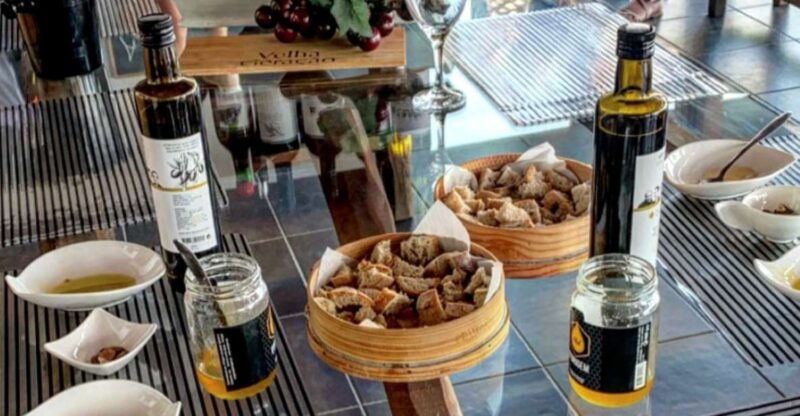 porto-douro-valley-day-trip-with-wine-tasting-and-lunch