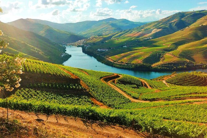 porto-douro-valley-full-day-wine-tasting-river-cruise-and-lunch