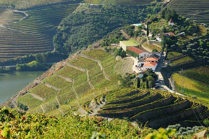 porto-douro-valley-full-day-wine-tasting-river-cruise-and-lunch