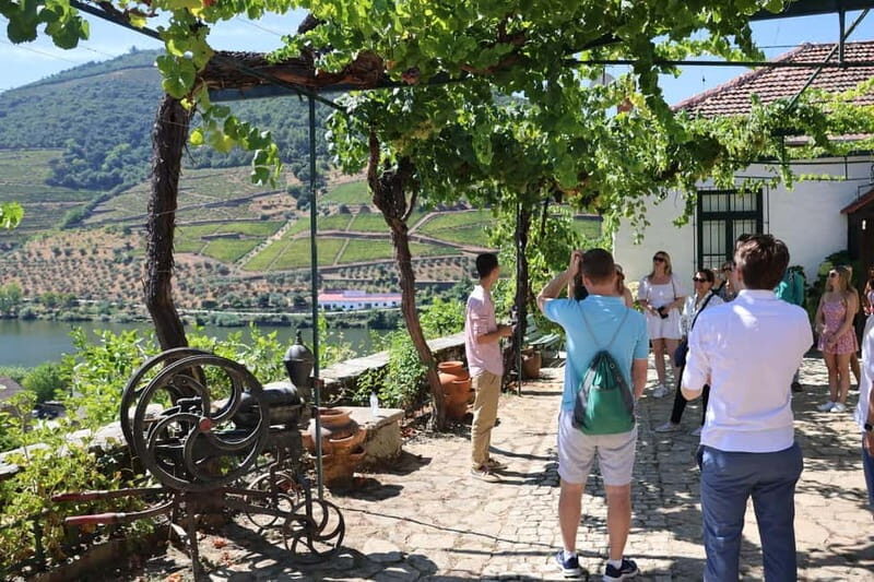 Porto: DOURO VALLEY Half-day Tour - A Closer Look at the Tour Itinerary