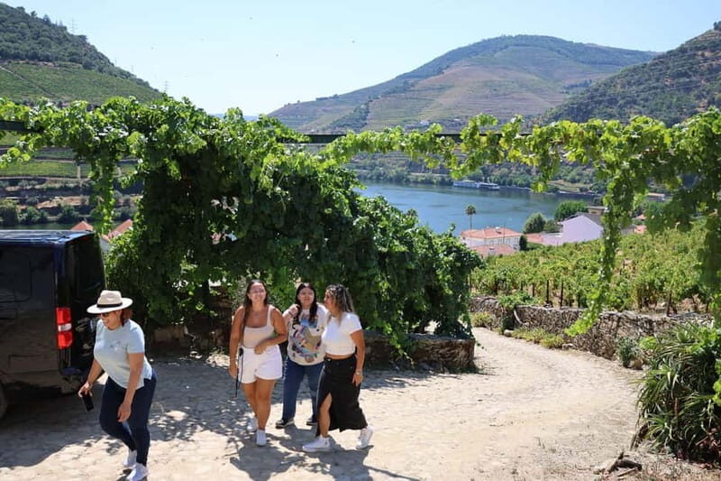 Porto: DOURO VALLEY Half-day Tour - Pricing and Value