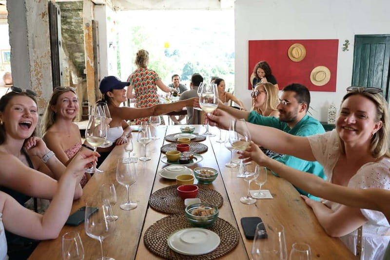 Porto: DOURO VALLEY Half-day Tour - Who Is This Tour Best For?