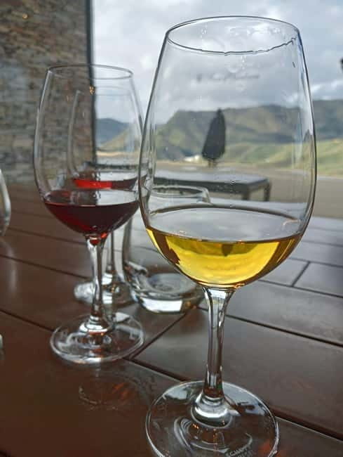 Porto: Douro Valley Half-Day Wine and Food Tour - An In-Depth Look at the Douro Valley Half-Day Tour