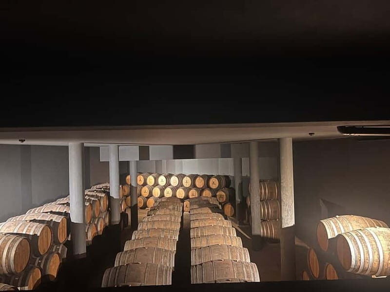 Porto: Douro Valley Half-Day Wine and Food Tour - Price and Value Analysis