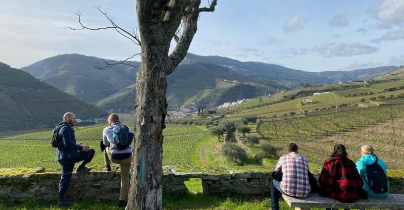 porto-douro-valley-hike-amarante-visit