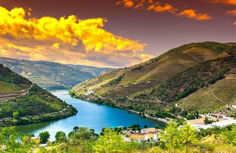 porto-douro-valley-private-full-day-tour