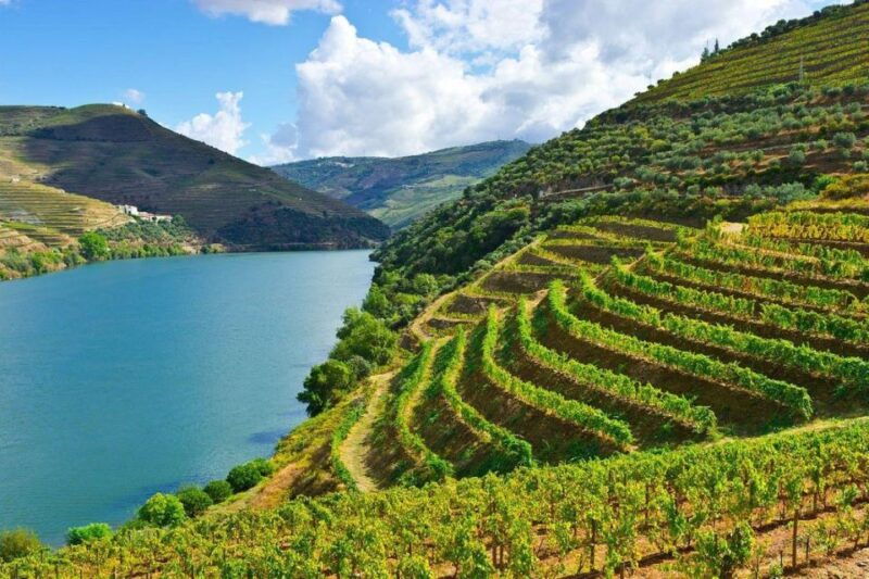 porto-douro-valley-private-full-day-tour