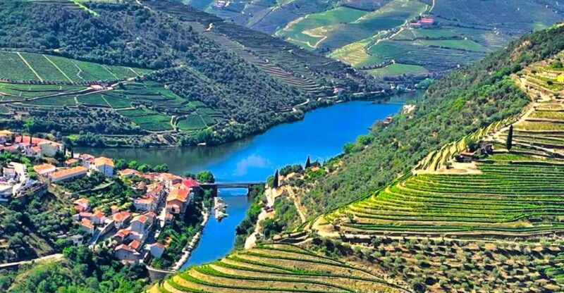 porto-douro-valley-private-tour-2-vineyards-river-cruise