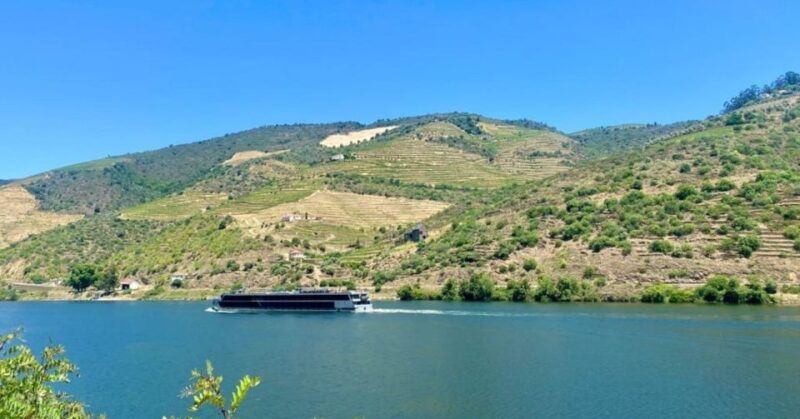 porto-douro-valley-private-tour-2-vineyards-river-cruise