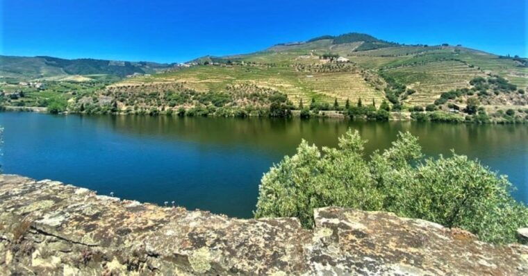 porto-douro-valley-private-tour-2-vineyards-river-cruise