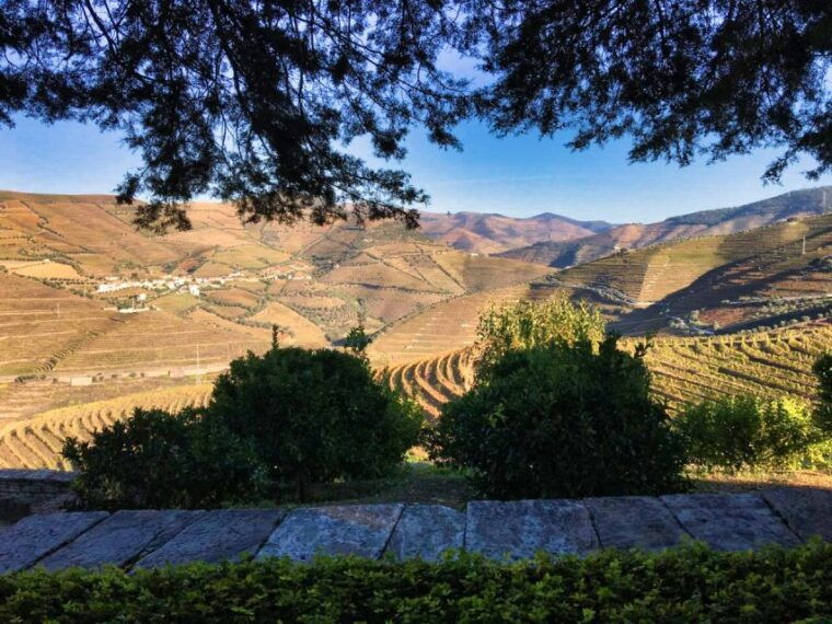 porto-douro-valley-private-tour-2-vineyards-river-cruise