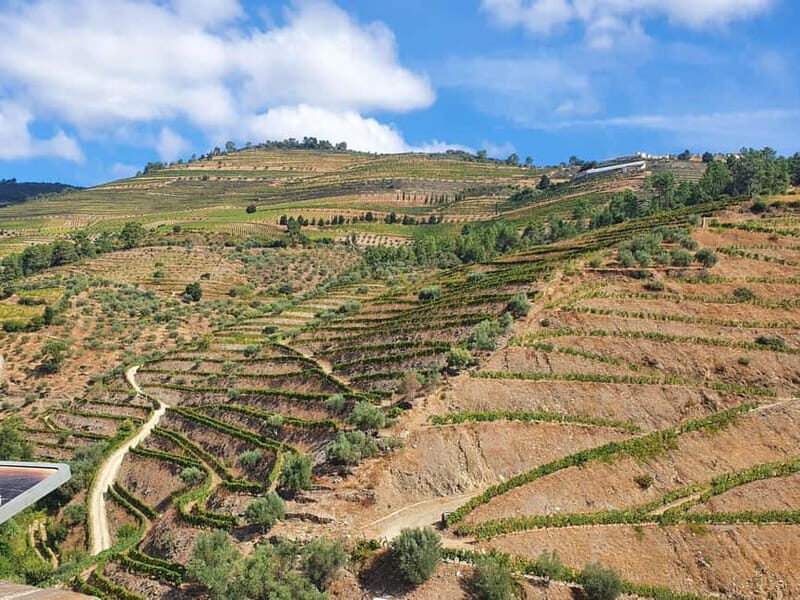 Porto: Douro Valley Private Tour with Winery Visit & Lunch - An In-Depth Review of the Douro Valley Private Tour