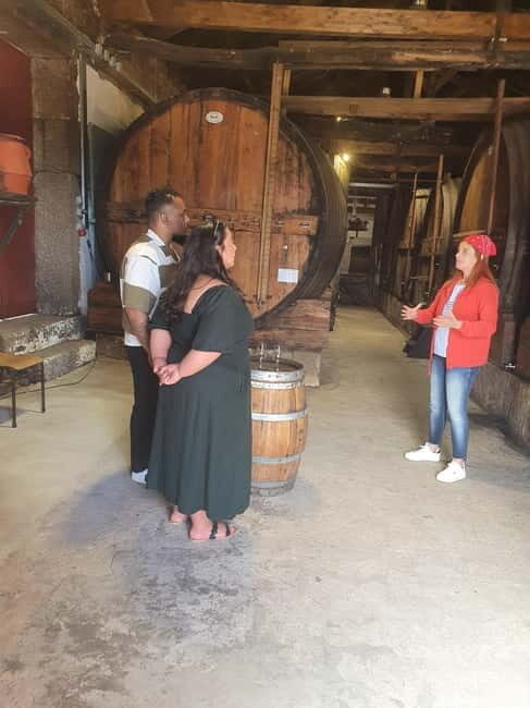 Porto: Douro Valley Private Tour with Winery Visit & Lunch - Who Will Enjoy This Tour?