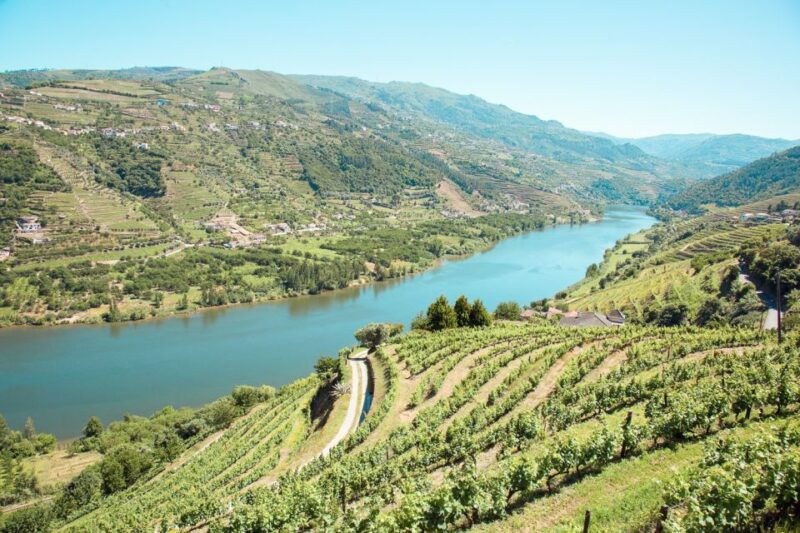 porto-douro-valley-small-group-wine-tasting-lunch-boat