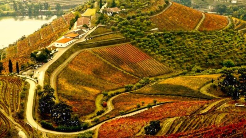 porto-douro-valley-tour-at-2-wineries-lunch-and-cruise