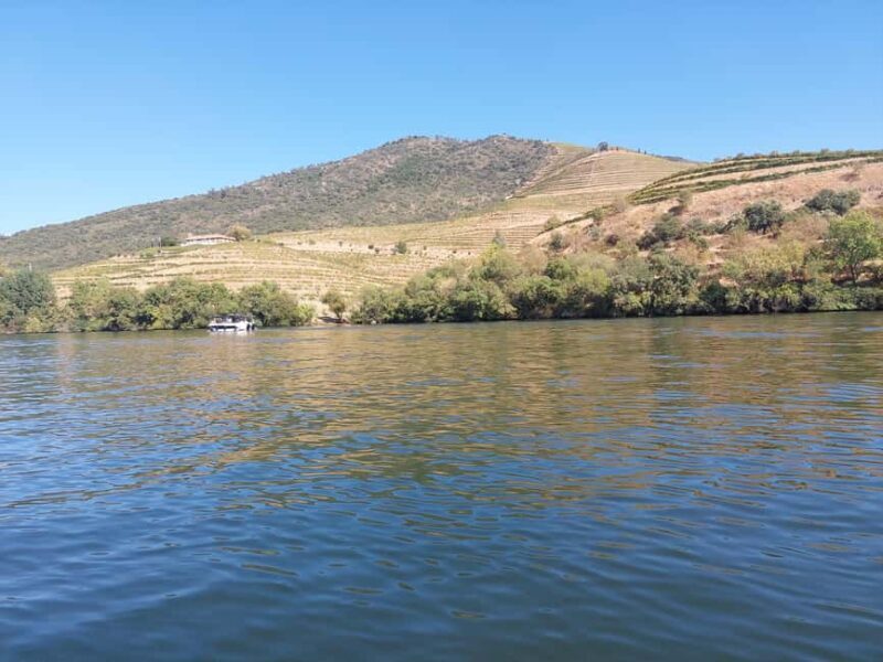 Porto: Douro Valley Tour by Private Car - A Closer Look at the Itinerary