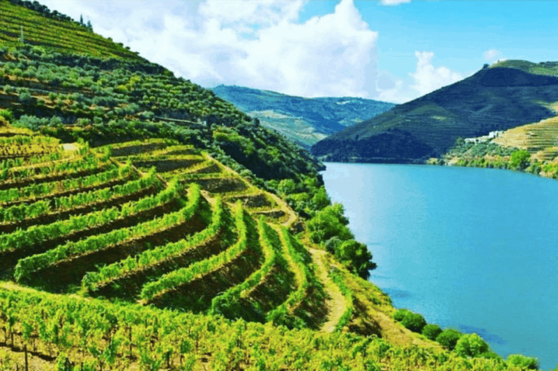 porto-douro-valley-tour-w-3-tastings-lunch-opt-cruise