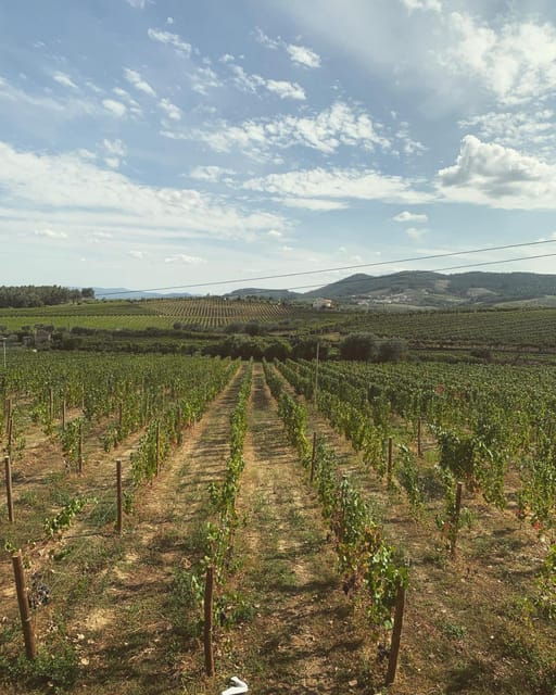 porto-douro-valley-tour-w-3-tastings-lunch-opt-cruise