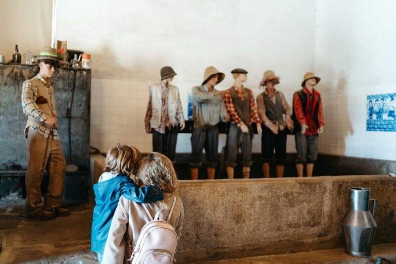 porto-douro-valley-tour-with-2-wineries-lunch-and-cruise-2