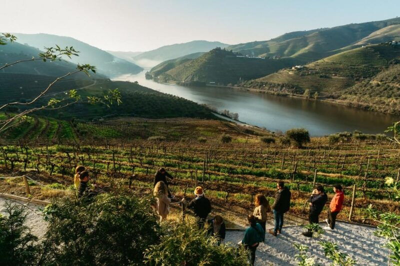 porto-douro-valley-tour-with-2-wineries-lunch-and-cruise-2