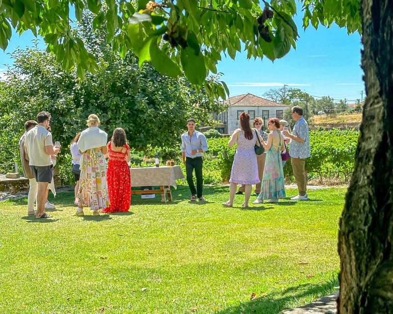 porto-douro-valley-tour-with-2-wineries-lunch-and-cruise