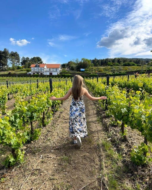 porto-douro-valley-tour-with-2-wineries-lunch-and-cruise