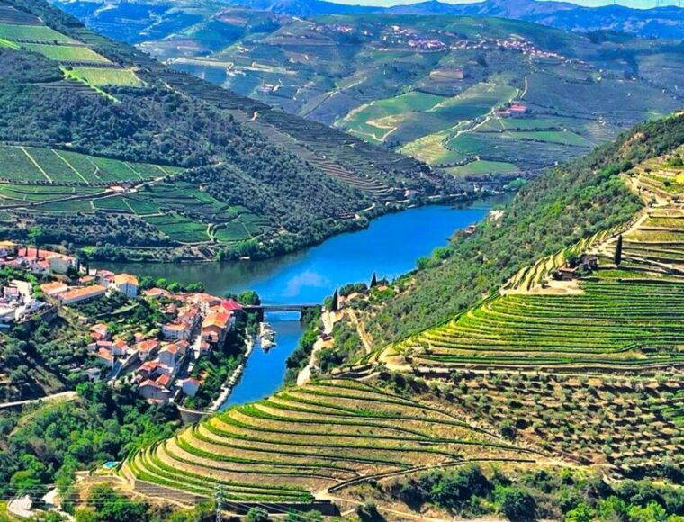 porto-douro-valley-tour-with-2-wineries-lunch-and-cruise