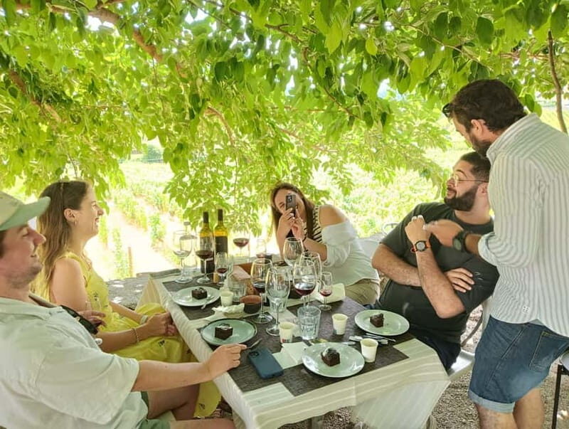 Porto: Douro Valley Tour with 2 Wineries, Lunch, & Boat Trip - An Authentic Day in the Douro Valley  