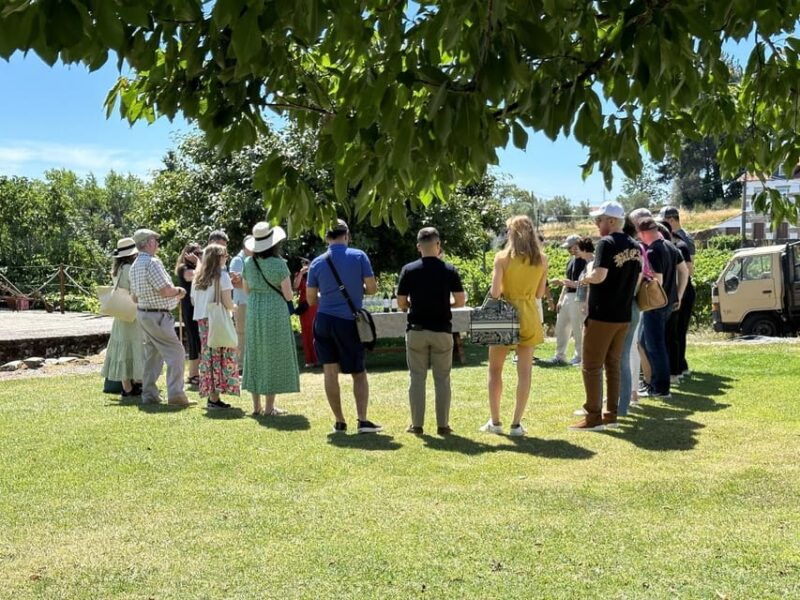 porto-douro-valley-tour-with-3-vineyards-and-lunch