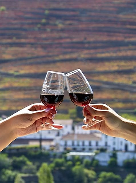 porto-douro-valley-tour-with-3-vineyards-and-lunch
