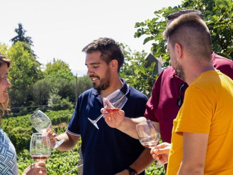 porto-douro-valley-tour-with-3-vineyards-and-lunch