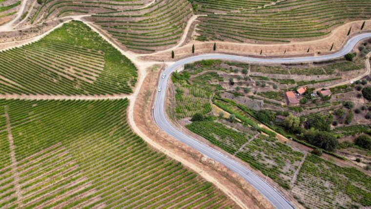 porto-douro-valley-tour-with-3-vineyards-and-lunch