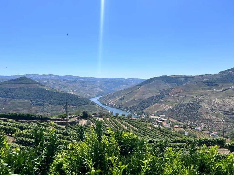 Porto: Douro Valley Tour with 3 Wineries and Lunch - Summary: Is This Tour for You?