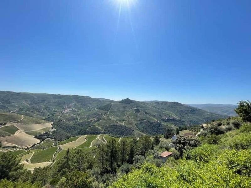 Porto: Douro Valley Tour with 3 Wineries and Lunch - Frequently Asked Questions