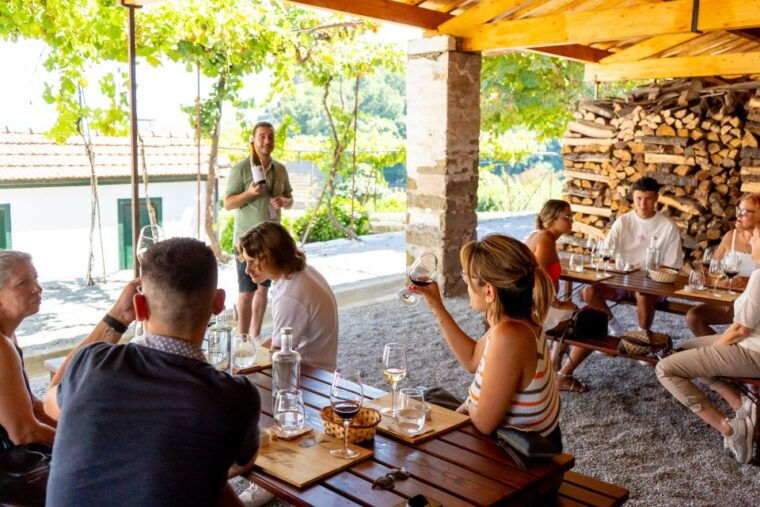 porto-douro-valley-tour-with-lunch-boat-cruise-tastings