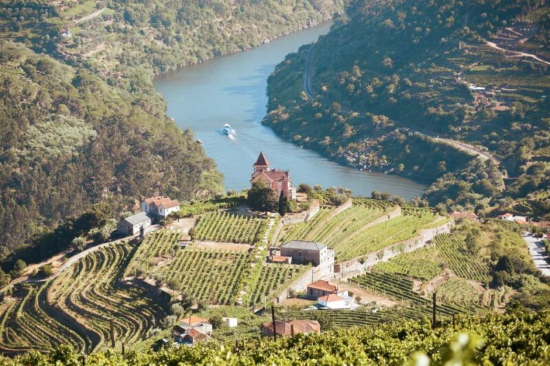 porto-douro-valley-tour-with-wine-tasting-cruise-and-lunch