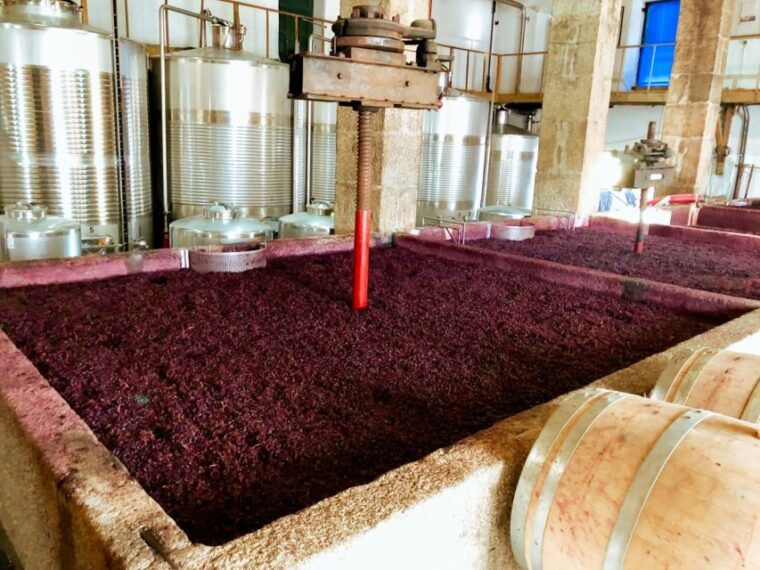 porto-douro-valley-tour-with-wine-tasting-cruise-and-lunch