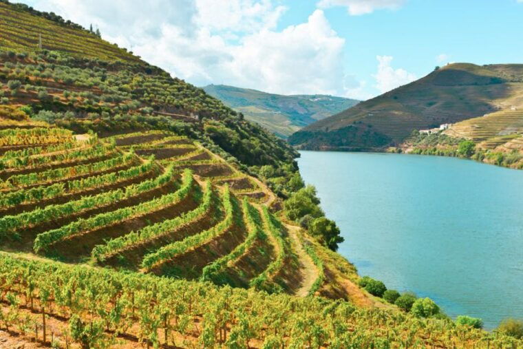 porto-douro-valley-tour-with-wine-tasting-cruise-and-lunch