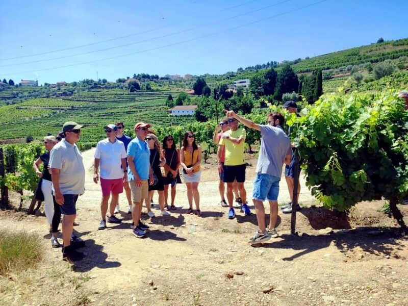 porto-douro-valley-vineyards-tour-with-lunch-river-cruise
