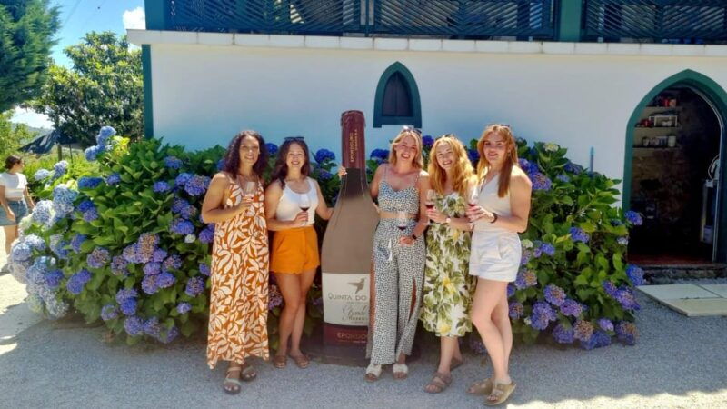 porto-douro-valley-vineyards-tour-with-lunch-river-cruise